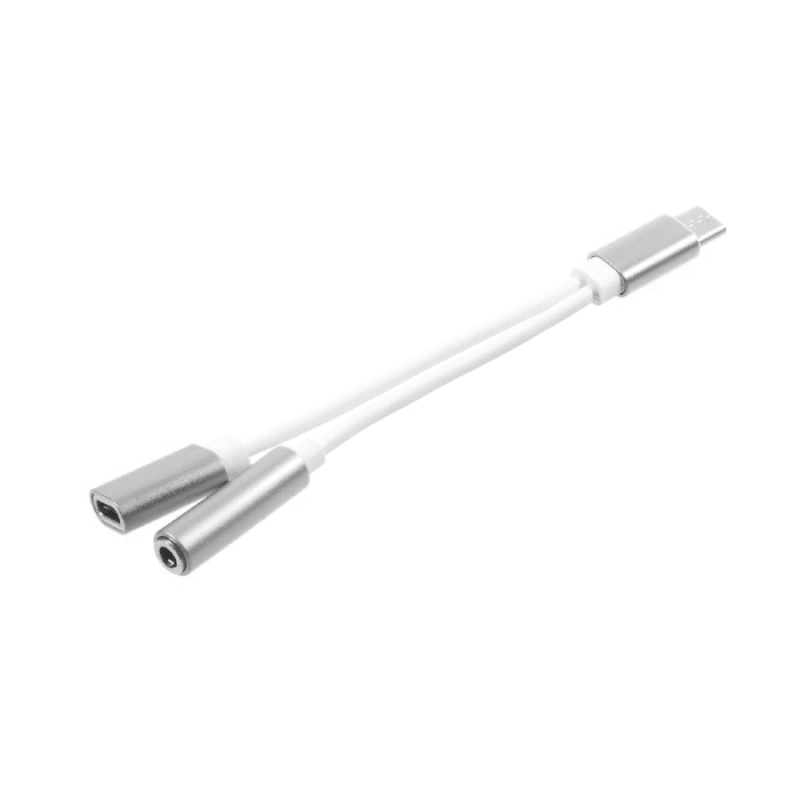 Καλώδιο Type-C σε Θύρα Type-C και Audio Jack  - Χρώμα: Ασημί