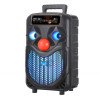 PZX NDR-P66 Bluetooth Φορητό ηχείο - Wireless Speaker 8 Inch